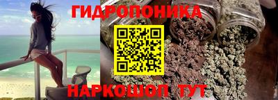 прущие грибы Гудермес