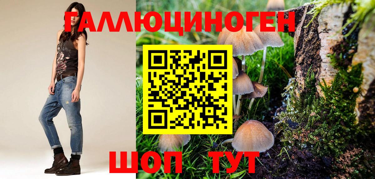Чапаевск  Псилоцибиновые грибы ЛСД  Вход с VPN 